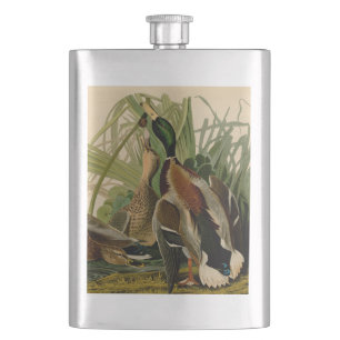 Mallard Anka Audubon Bird Painting Fickplunta