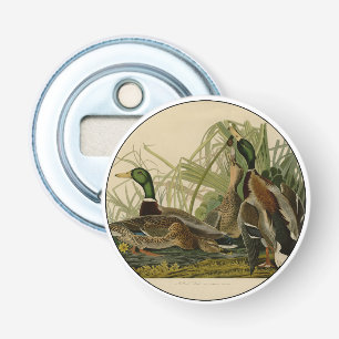 Mallard Anka Audubon Bird Painting Flasköppnare