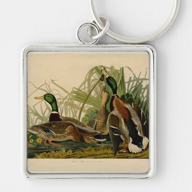 Mallard Anka Audubon Bird Painting Fyrkantig Silverfärgad Nyckelring (Framsidan)