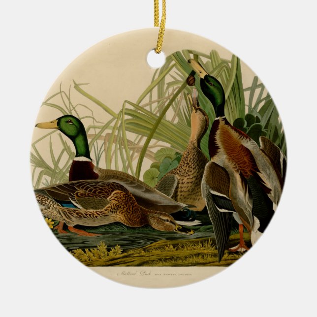 Mallard Anka Audubon Bird Painting Julgransprydnad Keramik (Framsidan)