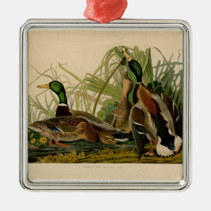 Mallard Anka Audubon Bird Painting Julgransprydnad Metall
