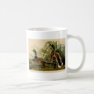 Mallard Anka Audubon Bird Painting Kaffemugg