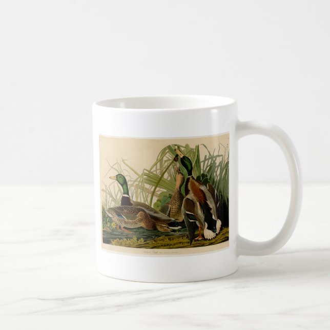 Mallard Anka Audubon Bird Painting Kaffemugg (Höger)