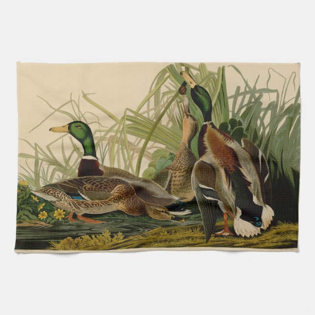 Mallard Anka Audubon Bird Painting Kökshandduk (Horisontell)