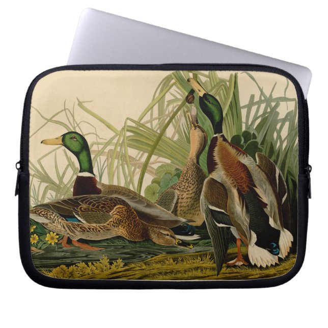 Mallard Anka Audubon Bird Painting Laptop Fodral (Framsidan)
