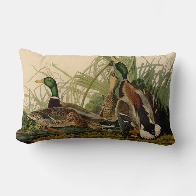 Mallard Anka Audubon Bird Painting Lumbarkudde (Framsida)