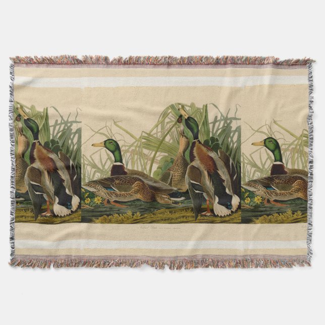 Mallard Anka Audubon Bird Painting Mysfilt (Framsidan)