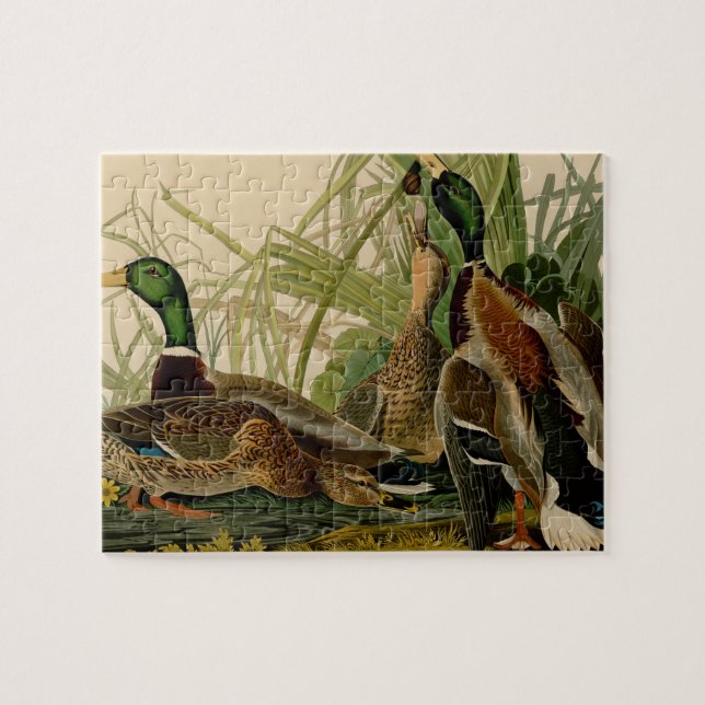 Mallard Anka Audubon Bird Painting Pussel (Horisontell)
