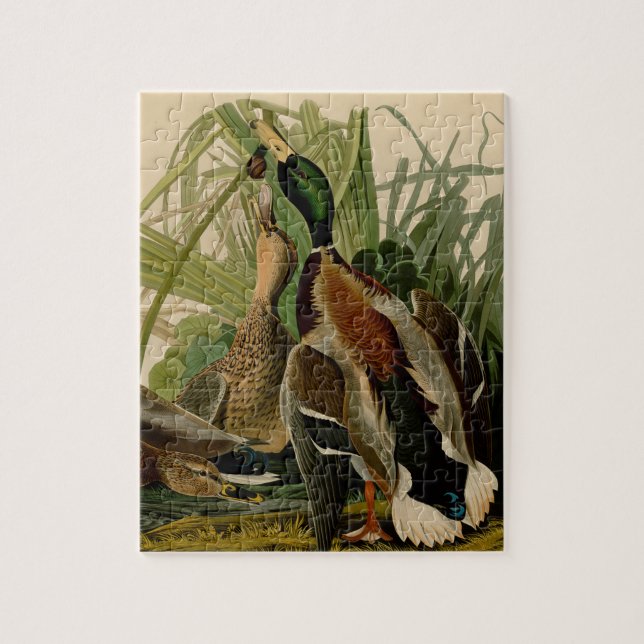 Mallard Anka Audubon Bird Painting Pussel (Vertikal)