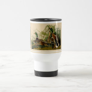 Mallard Anka Audubon Bird Painting Resemugg