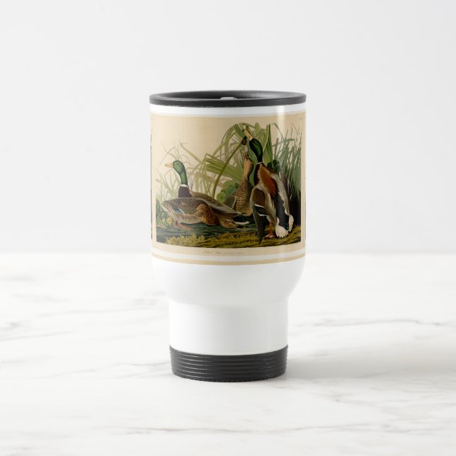 Mallard Anka Audubon Bird Painting Resemugg (Center)