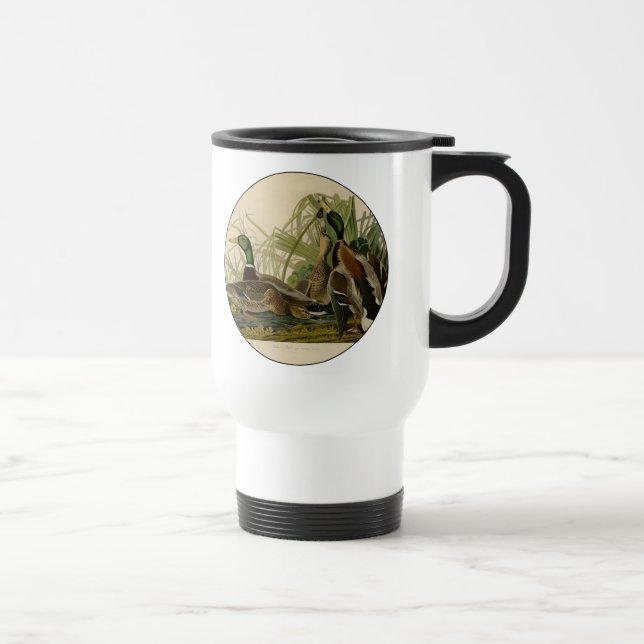 Mallard Anka Audubon Bird Painting Resemugg (Höger)