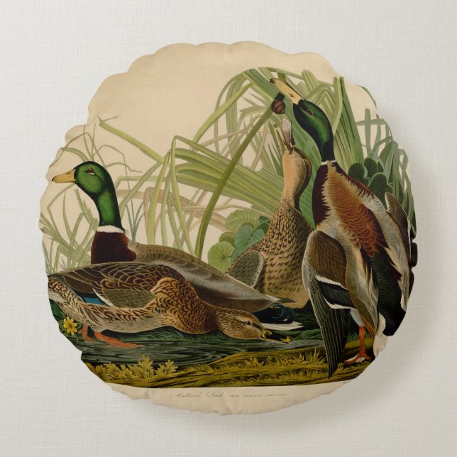 Mallard Anka Audubon Bird Painting Rund Kudde (Framsidan)