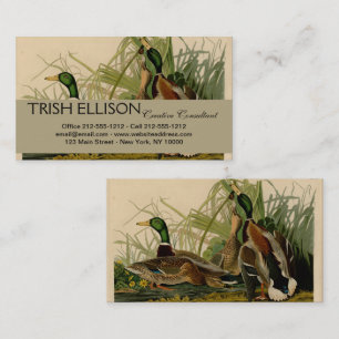 Mallard Anka Audubon Bird Painting Visitkort