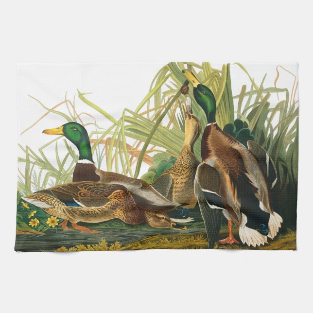 Mallard Anka av John James Audubon Kökshandduk (Horisontell)