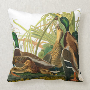 Mallard Anka av John James Audubon Kudde