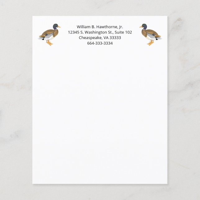 Mallard Anka Bird Natur Animals Waterfowl Manar (Framsida)