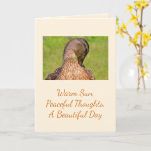 Mallard Anka Birthday Kort