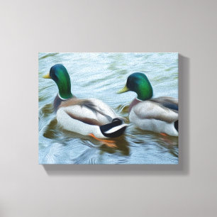 Mallard Anka Canvastryck
