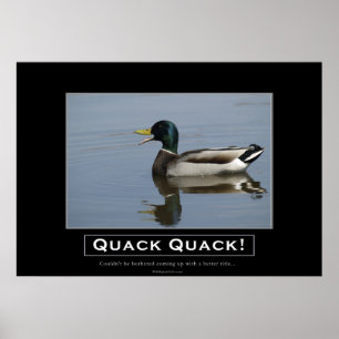 Mallard Anka Demotivational Poster