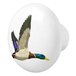 Mallard Anka DIY Knopp