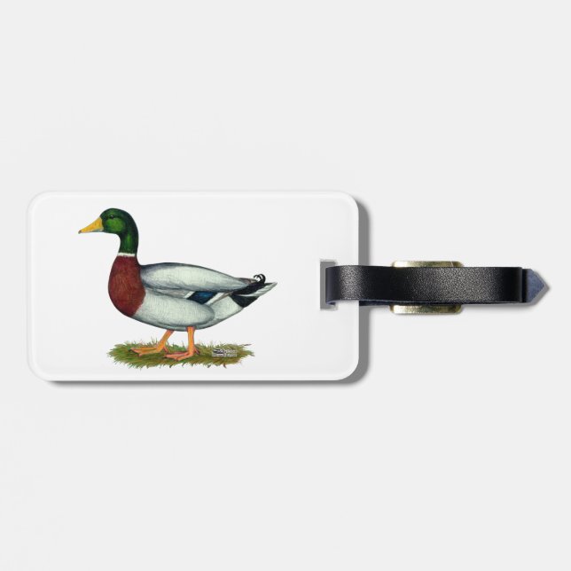 Mallard Anka Drake Bagagebricka (Baksida Vågrät)