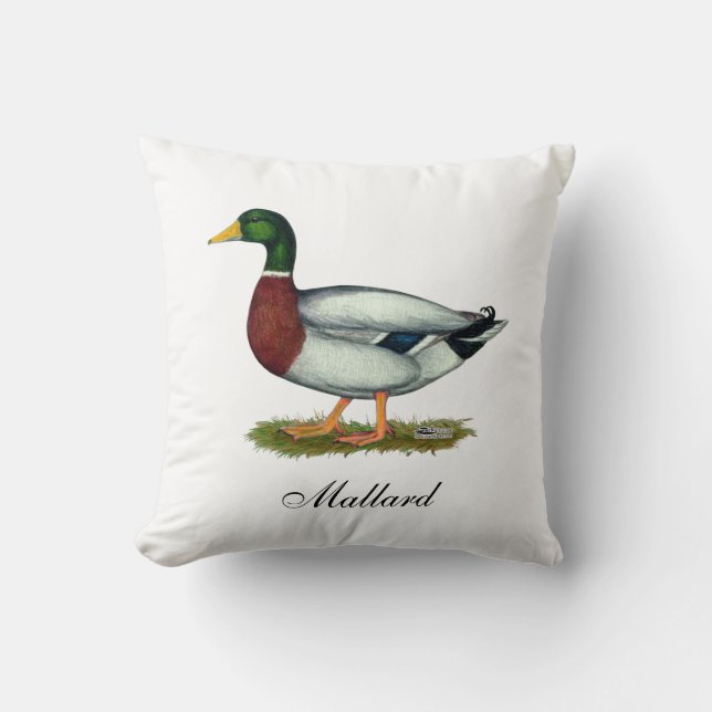 Mallard Anka Drake Kudde (Framsida)
