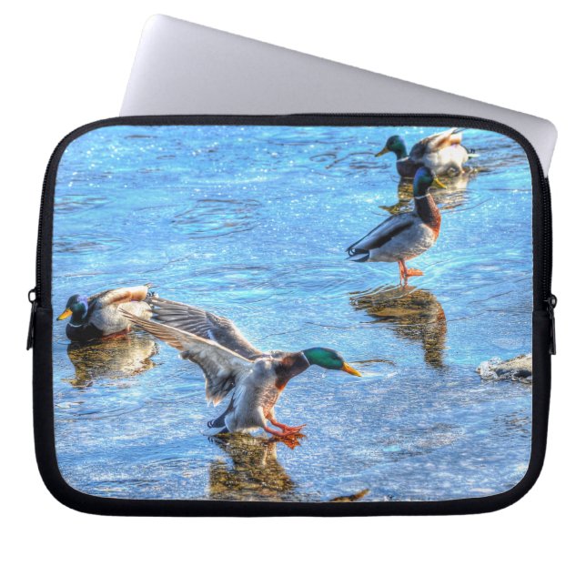 Mallard Anka Drake landning på Ice Wildlife Photo Laptop Sleeve (Framsidan)