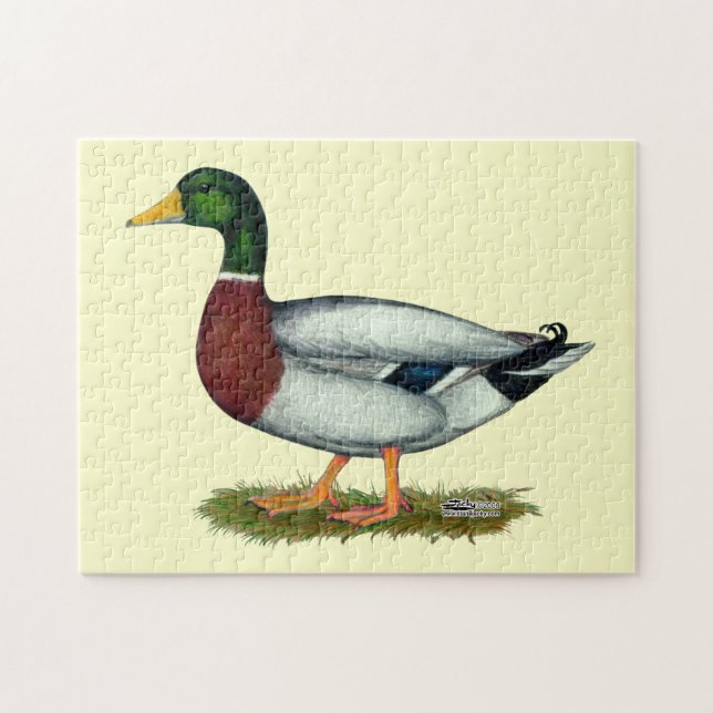 Mallard Anka Drake Pussel (Horisontell)