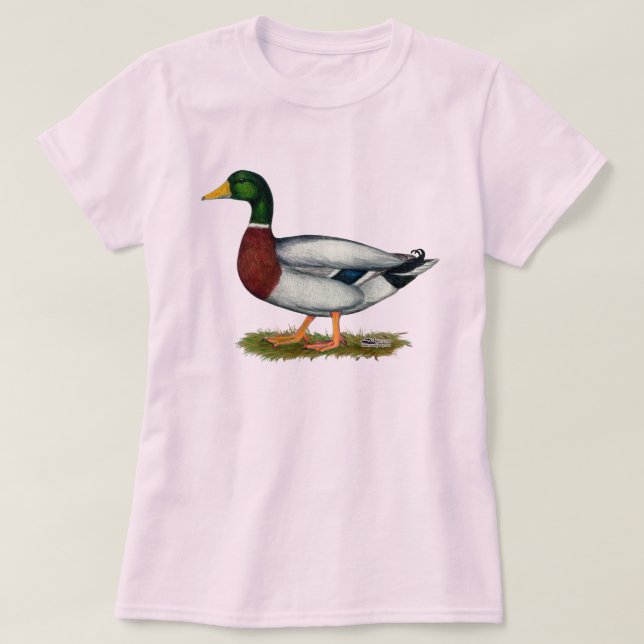 Mallard Anka Drake Tee Shirt (Design framsida)