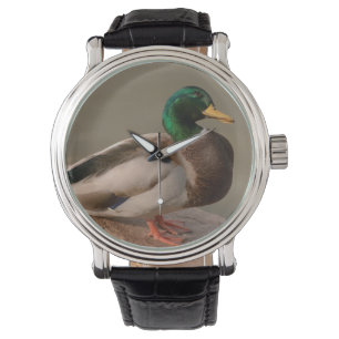 Mallard Anka Drake Watch Armbandsur