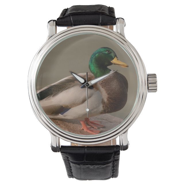 Mallard Anka Drake Watch Armbandsur (Framsida)