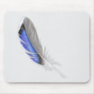 Mallard Anka Feather Watercolor Musmatta