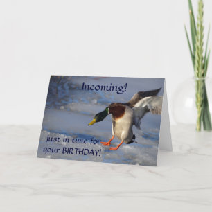 Mallard Anka födelsedagshälsningskort Kort