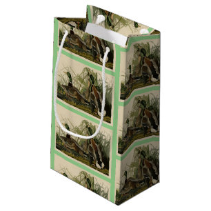 Mallard Anka från Audubon's Birds of America