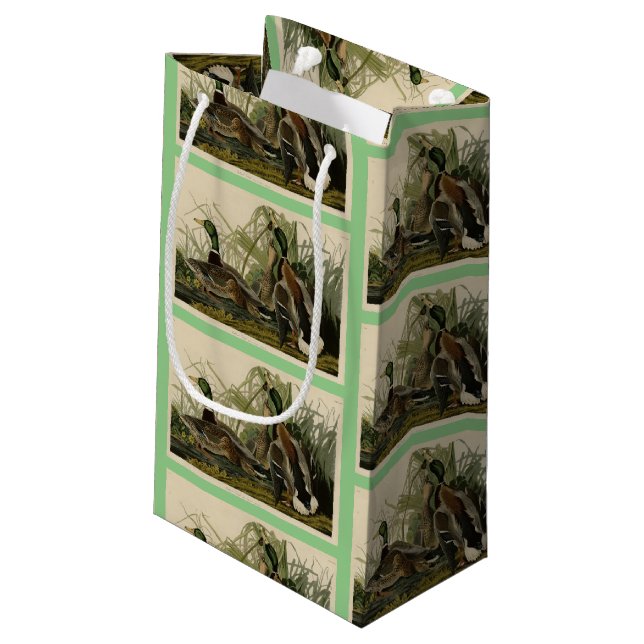 Mallard Anka från Audubon's Birds of America (Baksidan Vinklad)