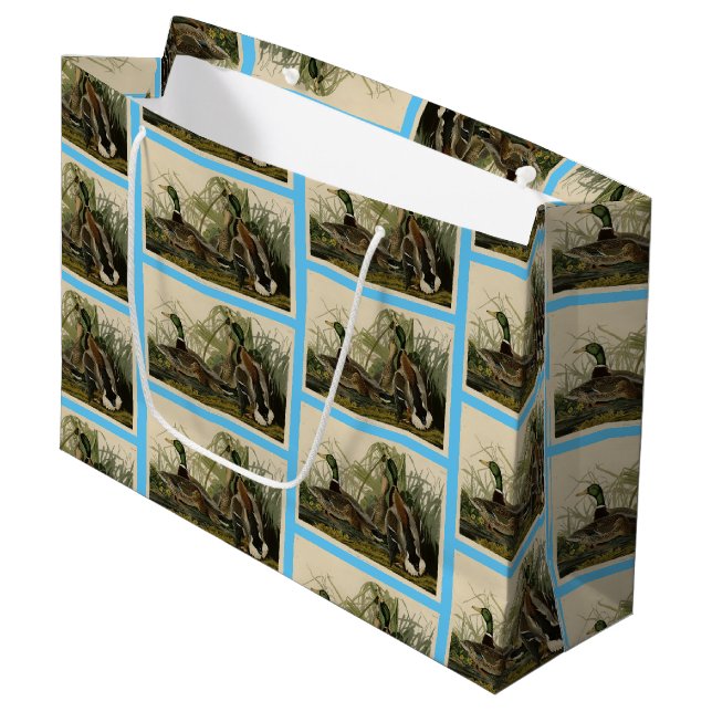 Mallard Anka från Audubon's Birds of America (Framsidan Vinklad)