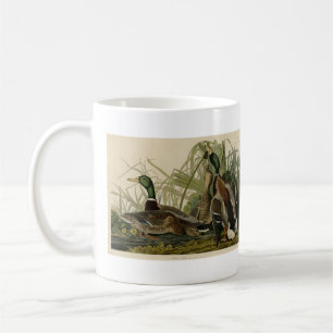 Mallard Anka från Audubon's Birds of America Kaffemugg