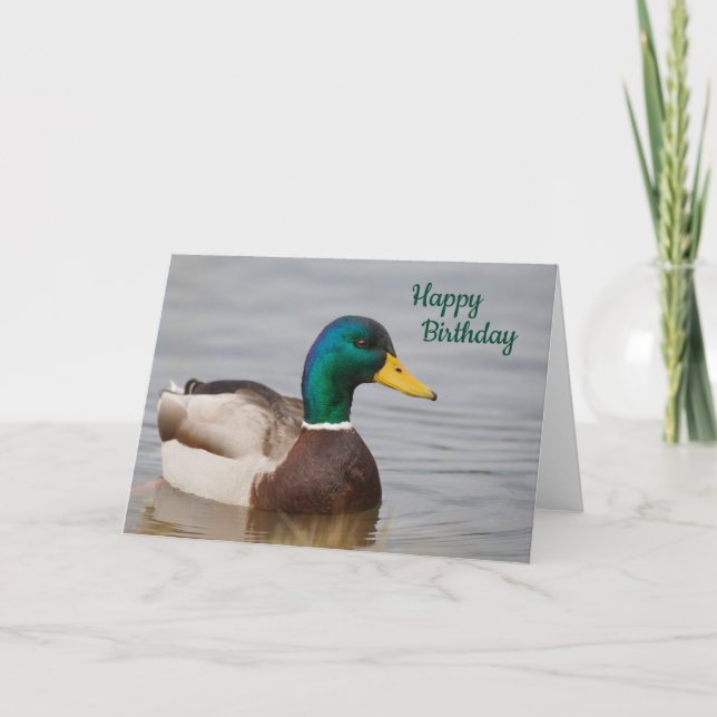 Mallard Anka Grattis på födelsedagen-kort Kort (Framsida)