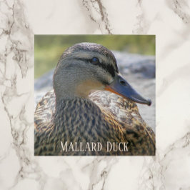 Mallard Anka Hen Photo Ceramic Tile Kakelplatta