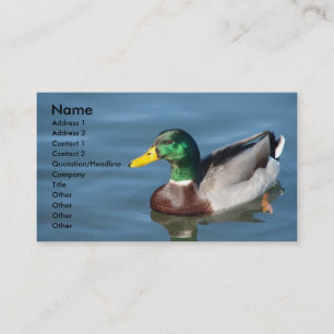 Mallard Anka i Blå Vatten Visitkort