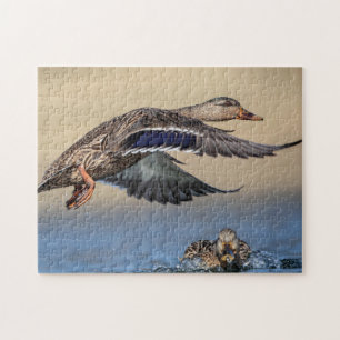 Mallard Anka i Hudson Valle Pussel