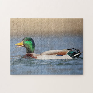 Mallard Anka i Hudson Valley Pussel