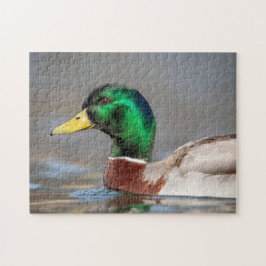 Mallard Anka i Hudson Valley Pussel