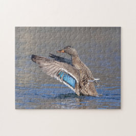 Mallard Anka i Hudson Valley Pussel