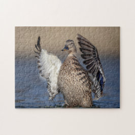 Mallard Anka i Hudson Valley Pussel