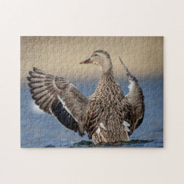 Mallard Anka i Hudson Valley Pussel