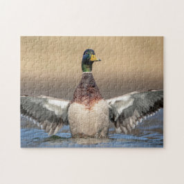 Mallard Anka i Hudson Valley Pussel