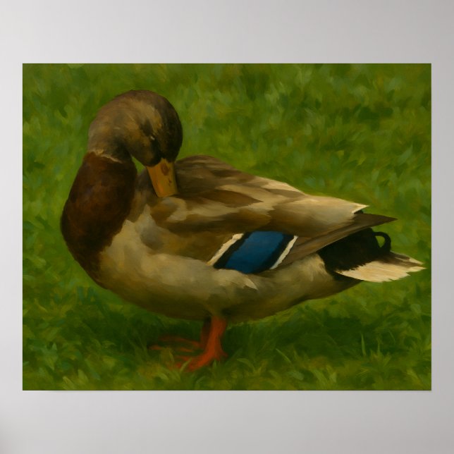 Mallard Anka i Meadow Light Poster (Framsidan)