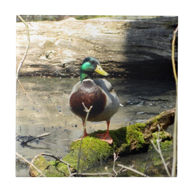 Mallard Anka i Skogen Decorative Tile Kakelplatta (Framsidan)